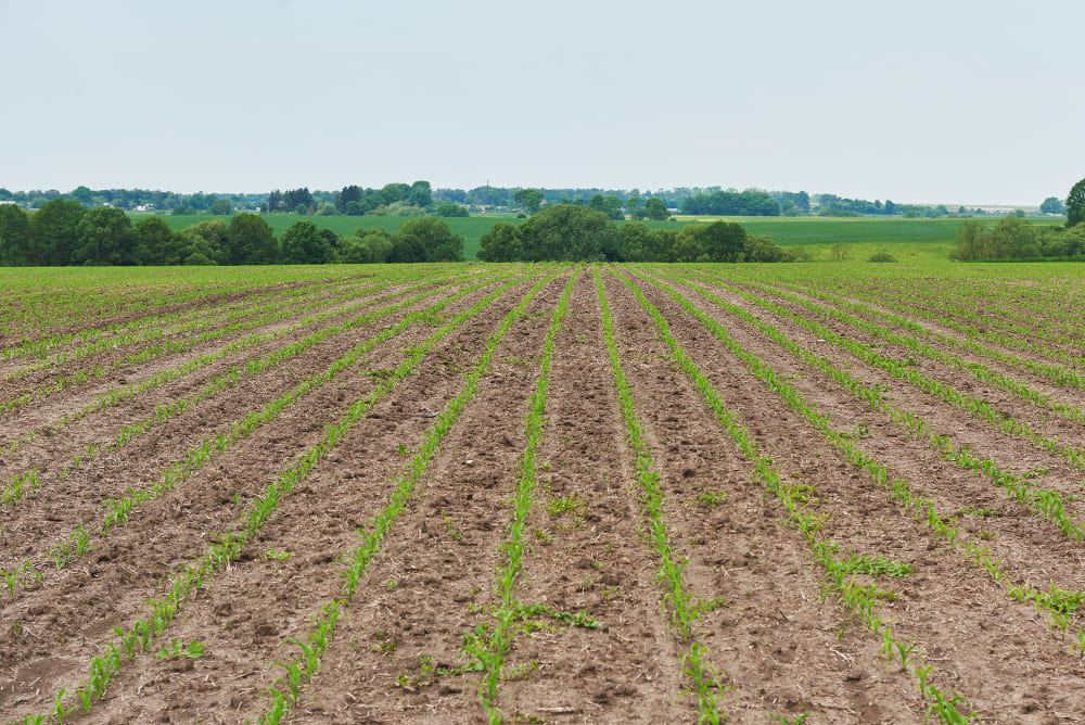 compravendita terreni agricoli senza notaio