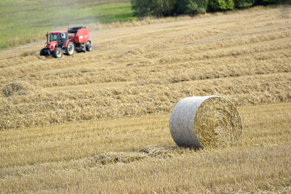 costo atto notarile terreno agricolo